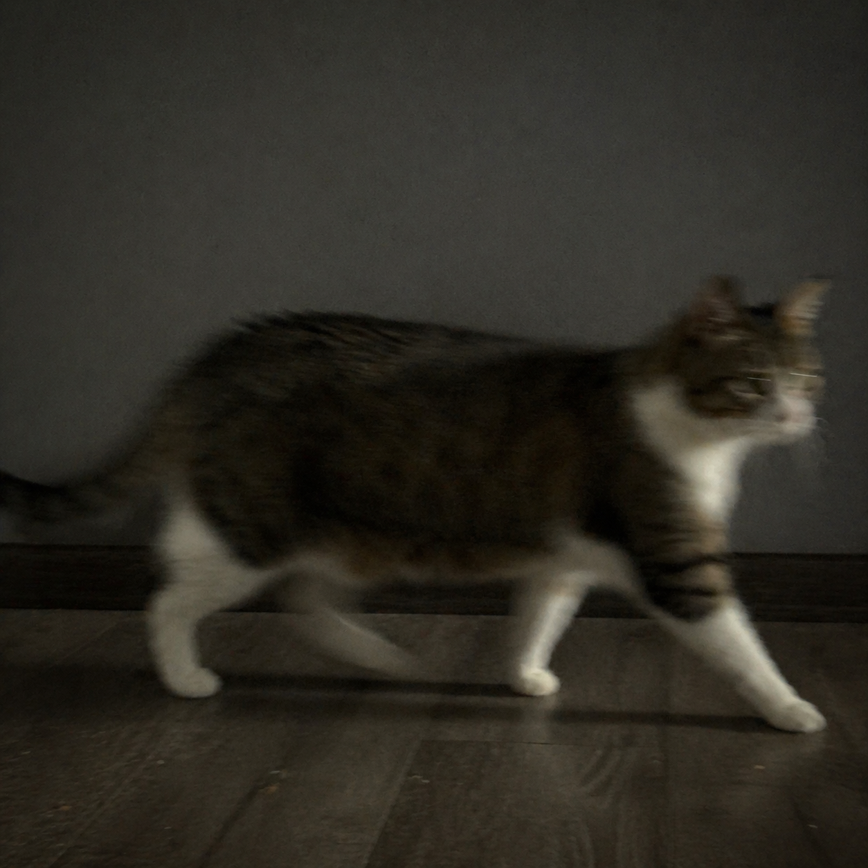 Avoid blurry